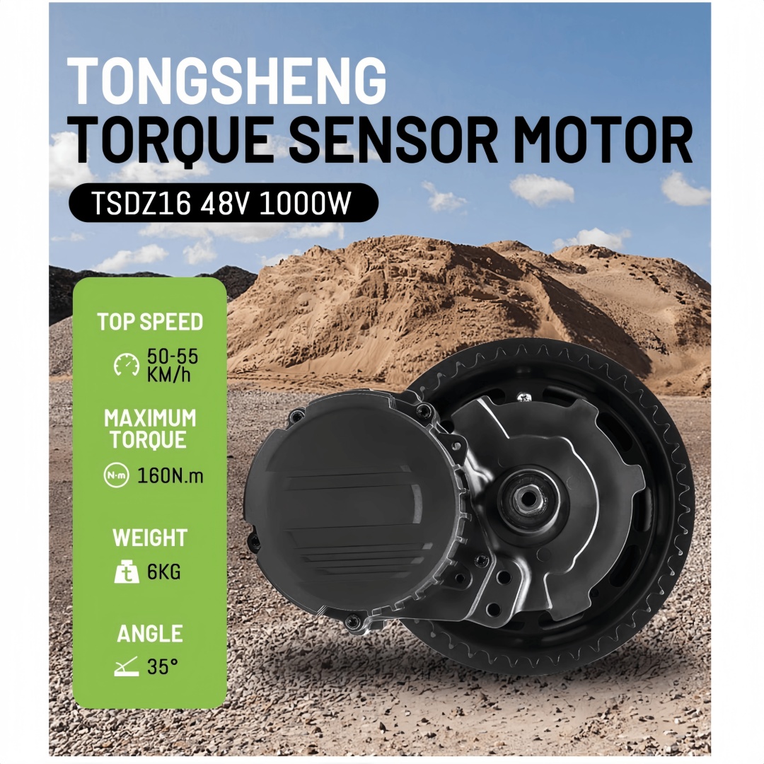 TONGSHENG TSDZ16 48V 1000W Kit - Mid Drive Conversion Kit 1000W avis et prix